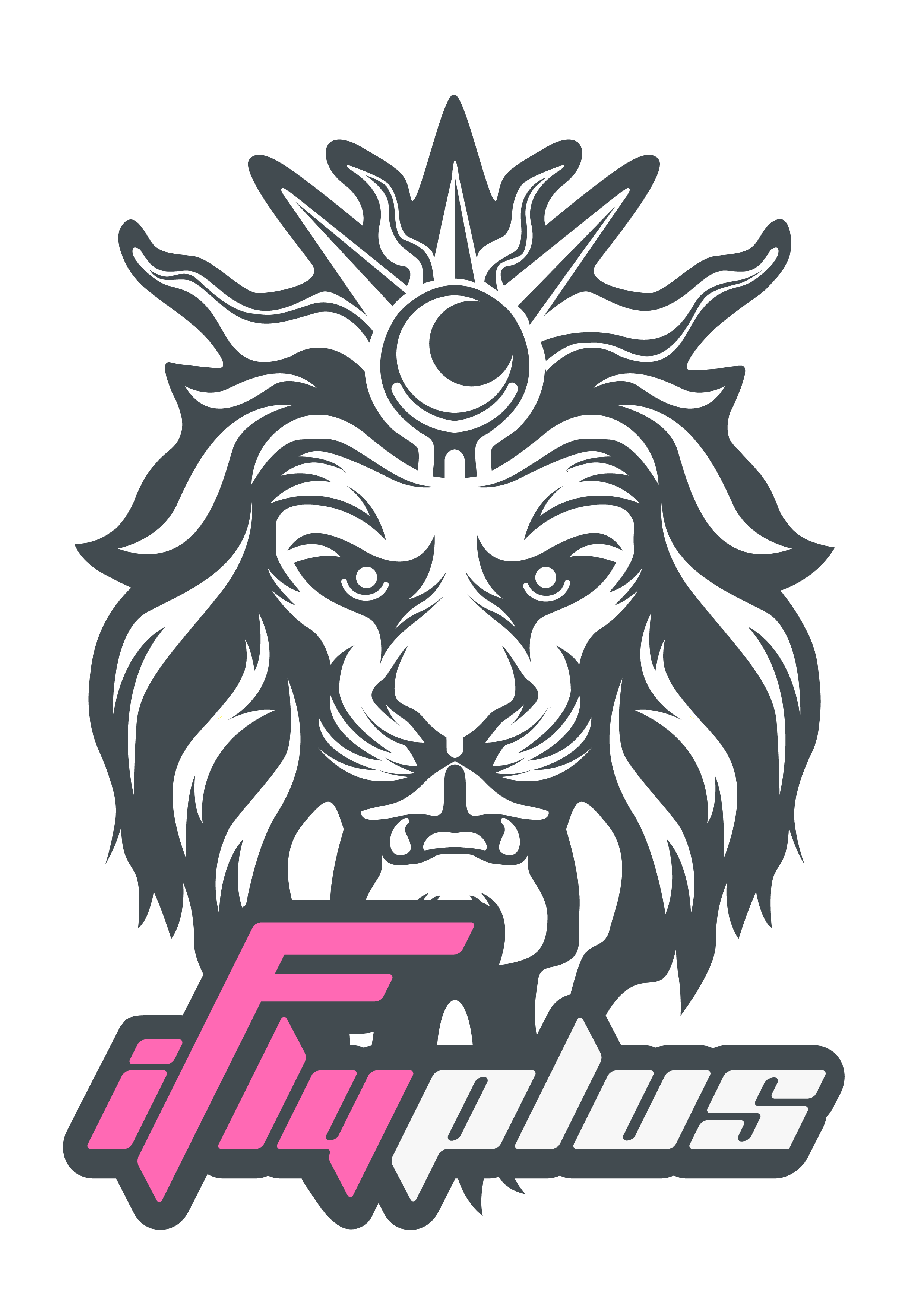 iFlyPlus品牌形象