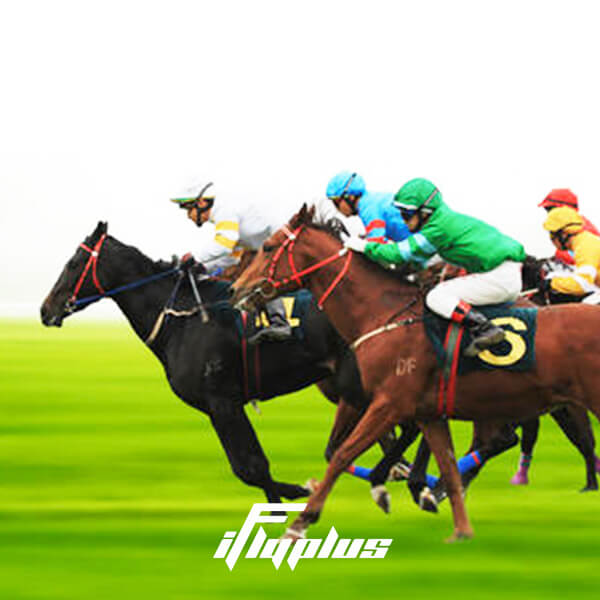 澳大利亚墨尔本杯赛马节